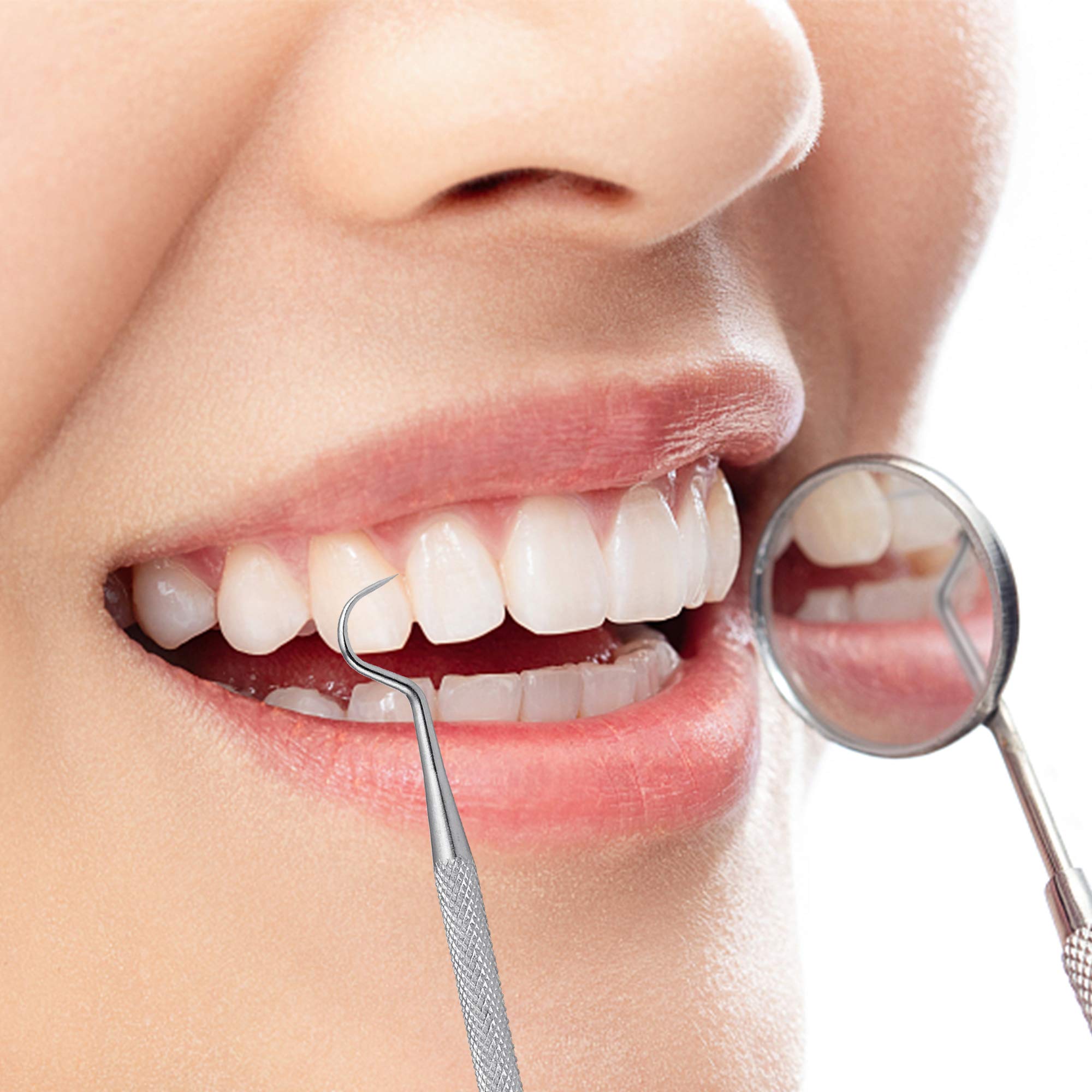 Worldity 5Pcs Reusable Toothpick, Portable Metal Toothpick, Professional Teeth Cleaning Tools, Dental Picks With Toothpick Holde